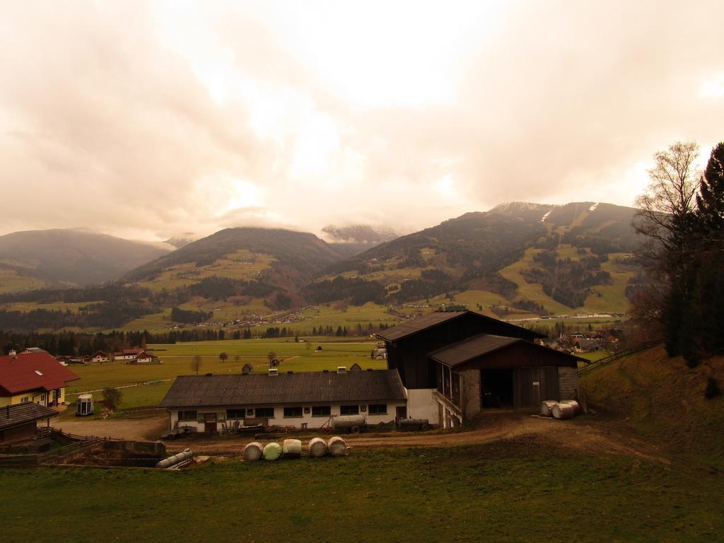 Appartment Stiegler Haus im Ennstal Pokoj fotografie